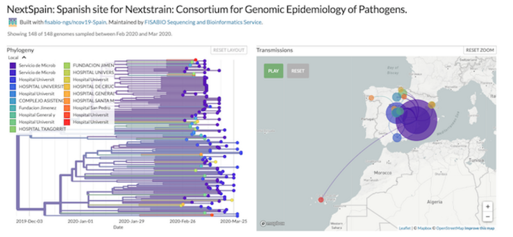 Un dos mapas xenéticos do coronavirus COVID-19  