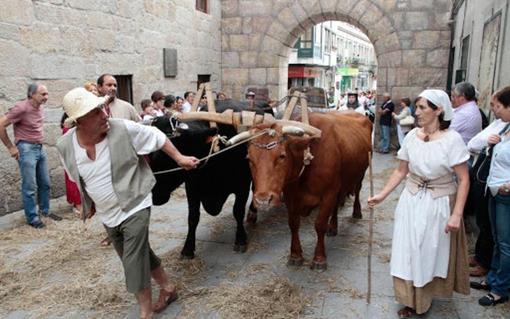 Feira Franca en Pontevedra 