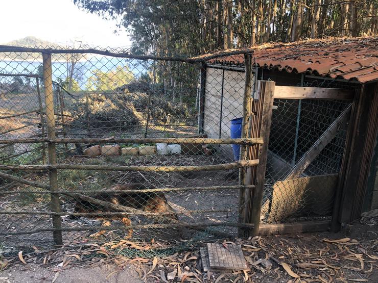 Can localizado en Combarro (Pontevedra). FUNDACIÓN FRANZ WEBER