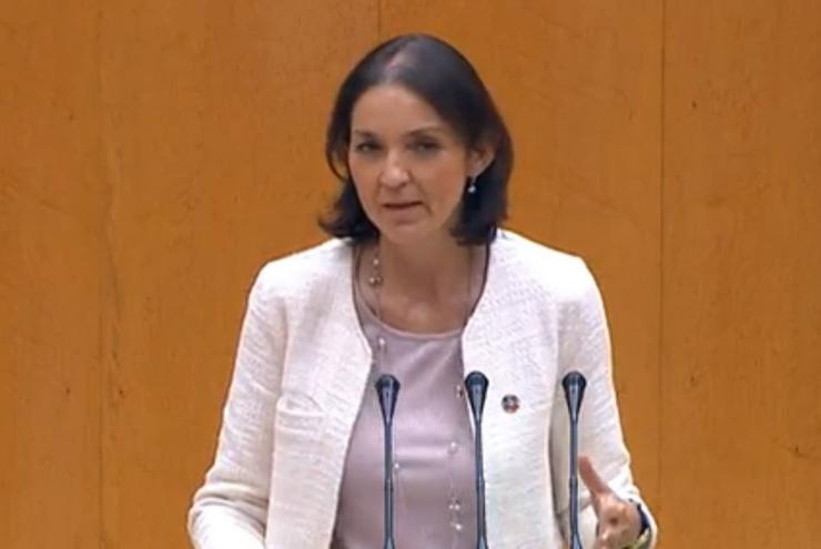 Reyes Maroto no Senado.. SENADO 