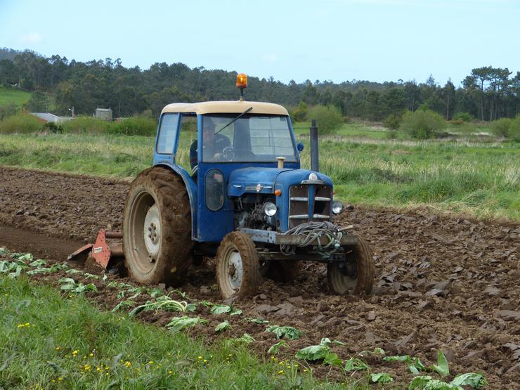 Tractor sementa patacas no concello coruñés de Coristanco. EP