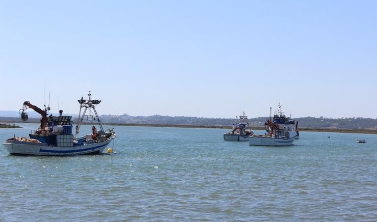 Barcos pesqueiros. XUNTA DE ANDALUCÍA