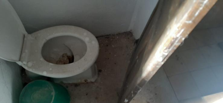 Situación dos baños, sen auga e luz, nun colexio electoral en Touro 
