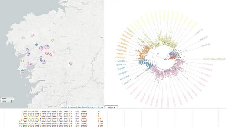 Mapa e árbore filogenético de NextSpain. UNIVERSIDADE DE VIGO / Europa Press