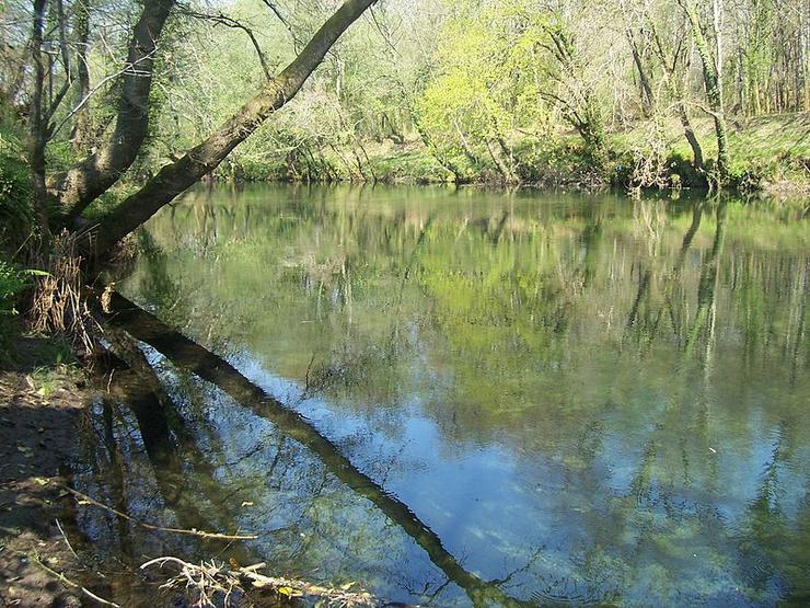 Río Tea de Ponteareas / Wikipedia