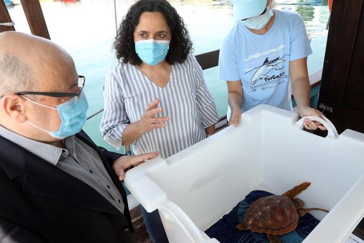 A directora xeral de Patrimonio Natural, Belén Do Campo, supervisa ou dispositivo para a solta dunha tartaruga. PEPE FERRIN / Europa Press
