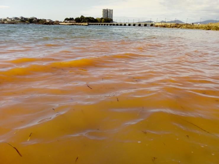Unha pequena marea vermella non tóxica preto da illa de Toralla, en Vigo 
