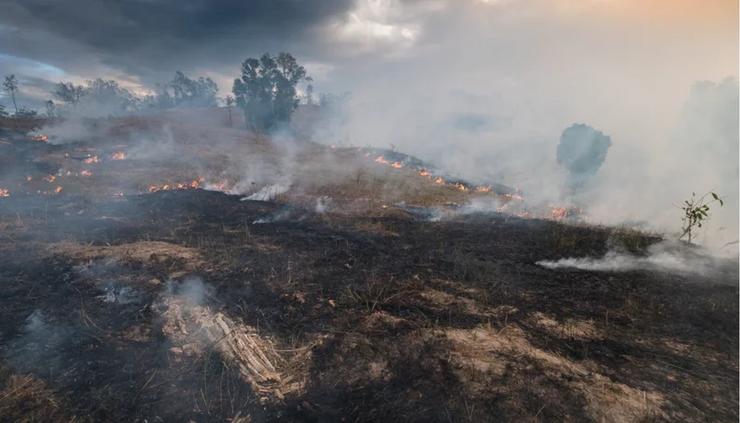 A chuvia axuda a apagar os incendios / vix