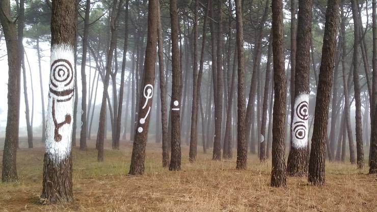 Piñeiral Castrexo / Xosé Cabaleiro.