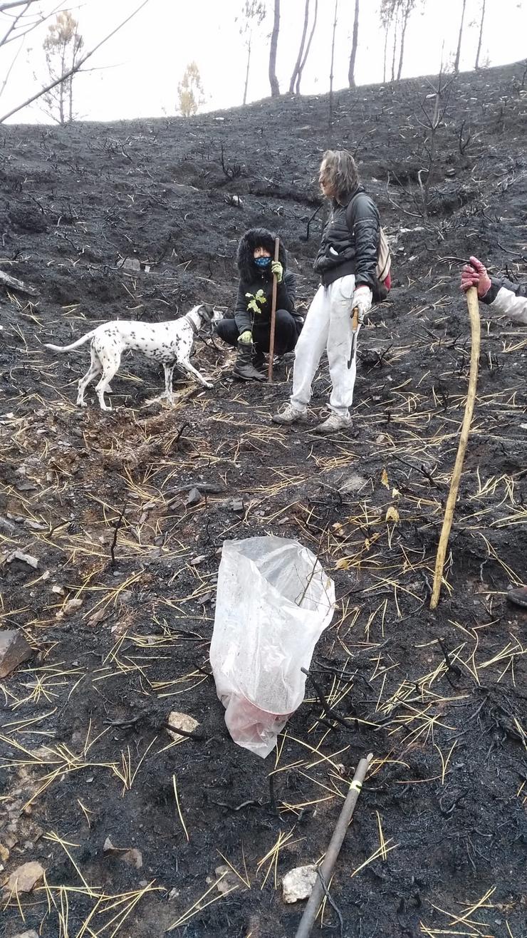 Integrantes de Amigas das Árbores avaliando un monte queimado