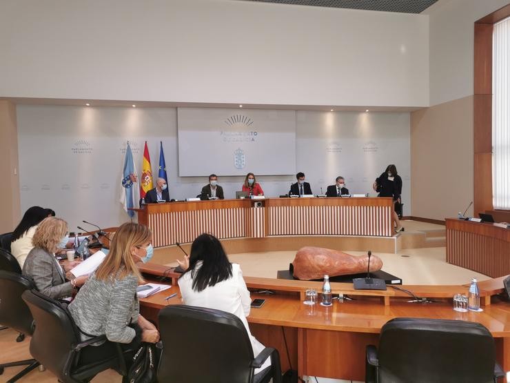 Comisión de Relacións co Consello de Contas do Parlamento de Galicia / Europa Press