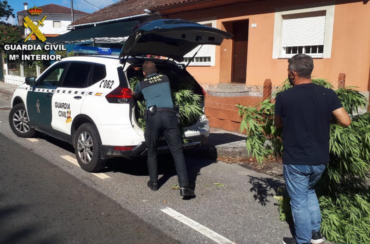 Intervención da Garda Civil de Pontevedra coa desarticulación dun cultivo de marihuana en Tui. GARDA CIVIL / Europa Press