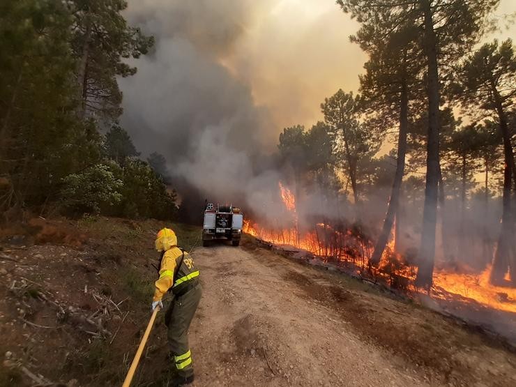 Arquivo - WWF pide ao Goberno que a declaración de zona catastrófica por incendios inclúa un plan de restauración integral. MINISTERIO PARA A TRANSICIÓN ECOLÓXICA - Arquivo / Europa Press