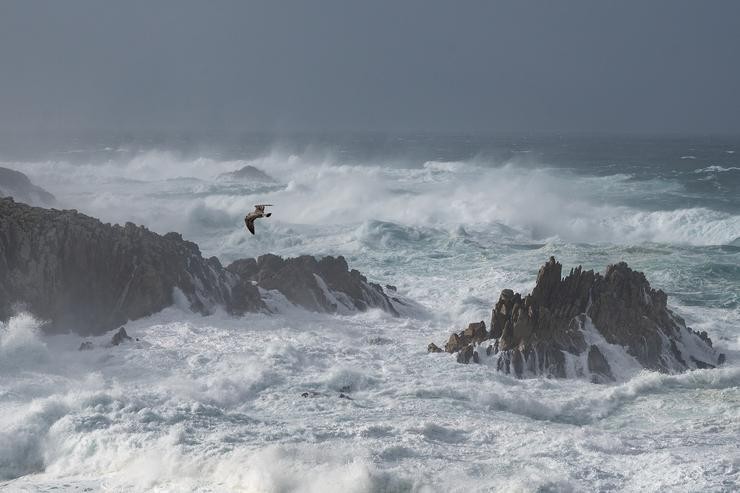 Ondada na zona da Torre de Hércules, na costa da Coruña durante o paso dunha borrasca 