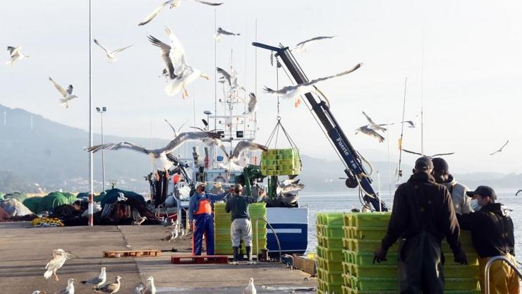 Porto pesqueiro. SANTI ALVITE/USC / Europa Press