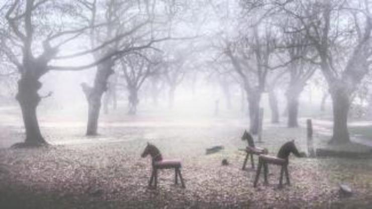 Cabaliños de pau. Foto: Concello de Teo