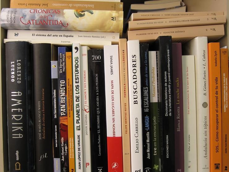 Imaxe de arquivo de libros nun andel / EUROPA PRESS - Arquivo