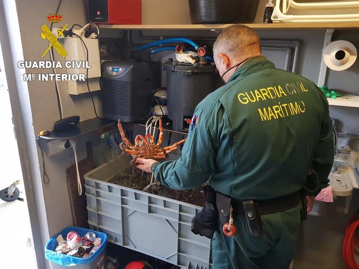 Centollas intervidas no porto coruñés de Caión pola Garda Civil.. GARDA CIVIL 