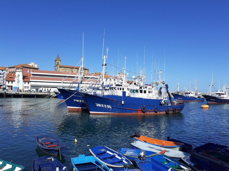 Arquivo - Barcos pesqueiros no porto de Bermeo (Bizkaia). EUROPA PRESS - Arquivo 