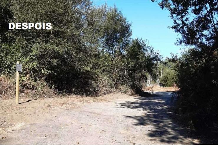 Fotografía dunha zona de Vilarmaior (A Coruña) tras os labores de restauración ambiental dun Punto de Vertedura Incontrolada (PVI).. XUNTA 