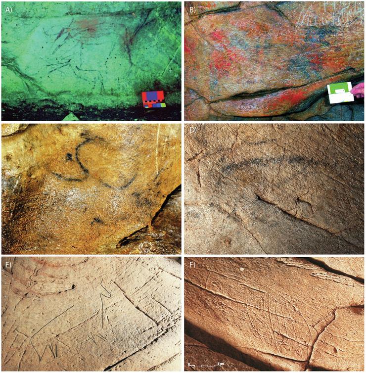 Figuras atopadas en Cova Eirós: bóvidos e cérvidos (A), figura cérvida en negro (B), prótome bóvido (C),  prótome équido (D), bóvido gravado (E), motivo xeométrico gravado (F). / M. García-Diez, R. Viñas, A. de Lombera-Hermida, A. Rubio, X.P. Rodríguez-Álvarez, B. Ochoa, R. Fábregas-Valcarce, Cova Eirós (Galicia, Spain): The ‘Finisterre’ of Paleolithic cave art, Journal of Archaeological Science: Reports, Volume 35, 2021, 102756, ISSN 2352-409X, https://doi.org/10.1016/j.jasrep.2020.102756.