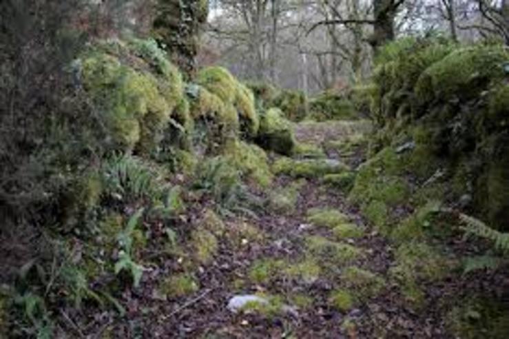 Coto da Eira, espazo natural en Mondariz, ameazado por unha mina / wikiloc