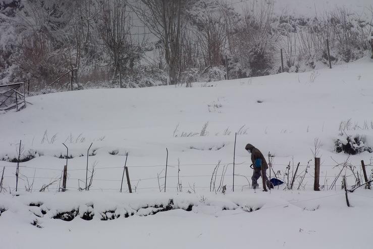 Nevada en O Cebreiro (Lugo).. Carlos Castro - Europa Press 