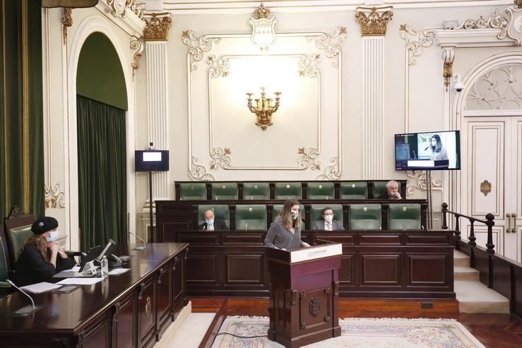 Pleno da Deputación de Pontevedra 
