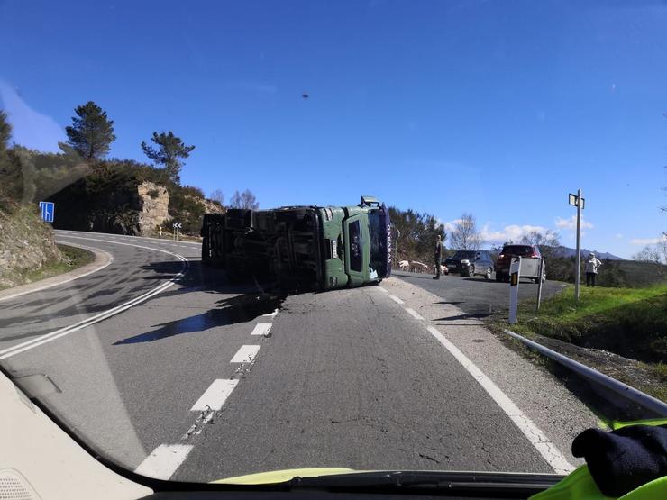 Envorco dun camión que transportaba porcos 