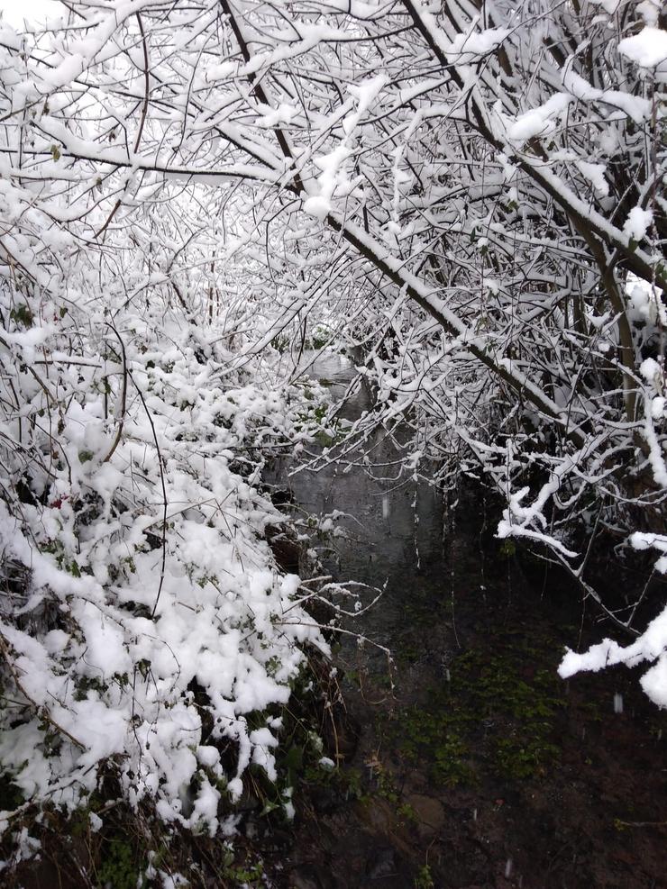 Neve en Euskadi (arquivo) 