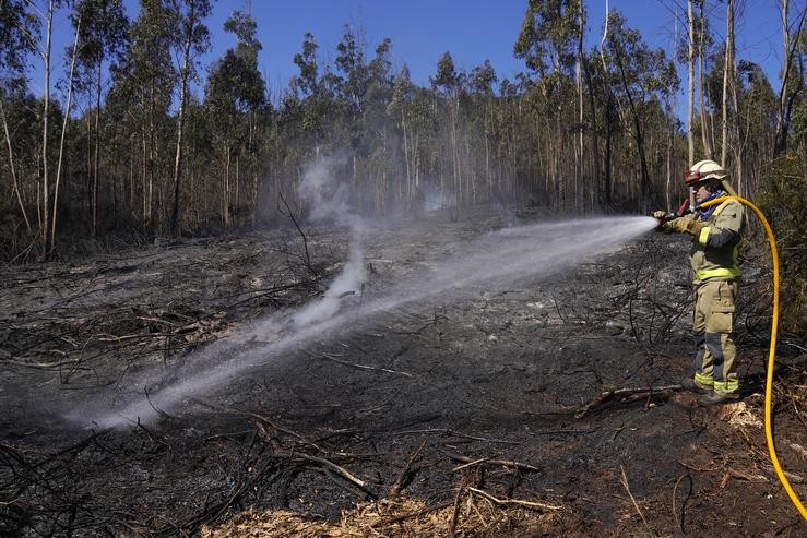 Un bombeiro apaga un incendio forestal. Álvaro Ballesteros - Europa Press