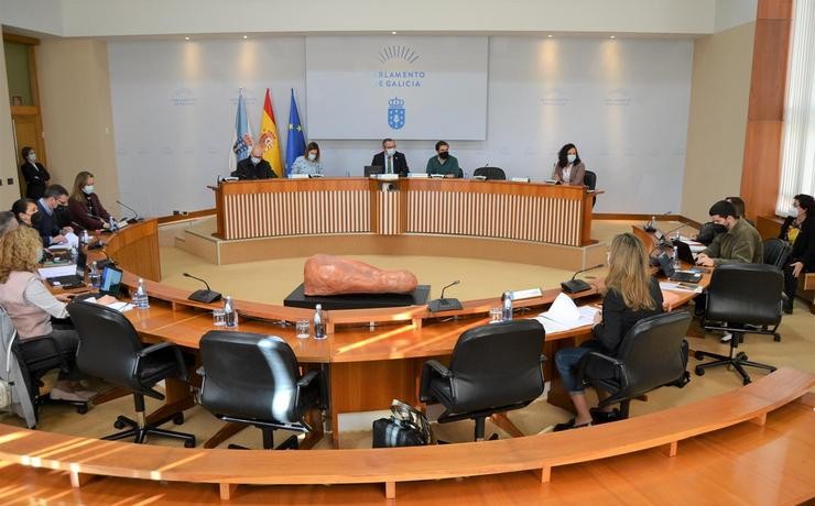 Comisión 8ª, de Pesca e Marisqueo, do Parlamento de Galicia o 2 de marzo de 2021.