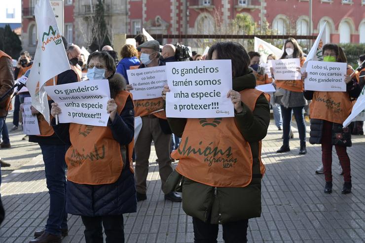 Acción Sindical Dos Gandeiros Para Reclamar Un Sistema Eficaz Polos Ataques Do Lobo, Convocada Por Unións Agrarias Ante A Delegación do Goberno. M. DYLAN 