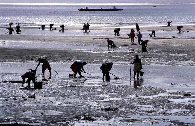Mariscadoras traballando / Xunta de Galicia - Arquivo 