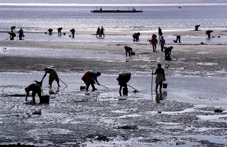 Mariscadoras traballando / Xunta de Galicia. 