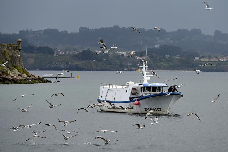 Un barco de pesca da frota artesanal / M. Dylan