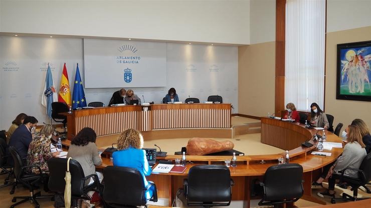 Os deputados durante a comisión de Sanidade 