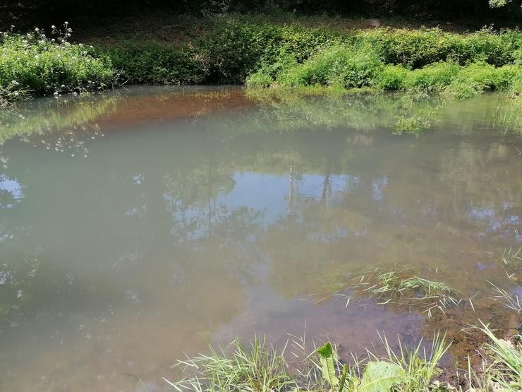 Vertido no río Douro. FONTE: ALTERNATIVA VECINAL.