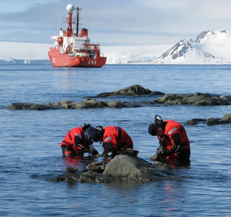 Arquivo - O buque de investigación oceanográfica Hespérides cumpre 30 anos. ARMADA - Arquivo / Europa Press