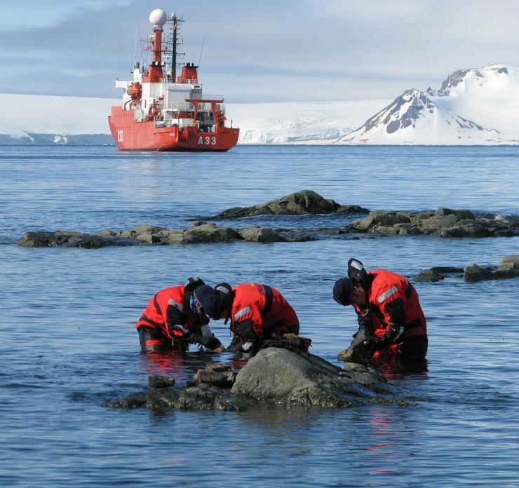 Arquivo - O buque de investigación oceanográfica Hespérides cumpre 30 anos. ARMADA - Arquivo 