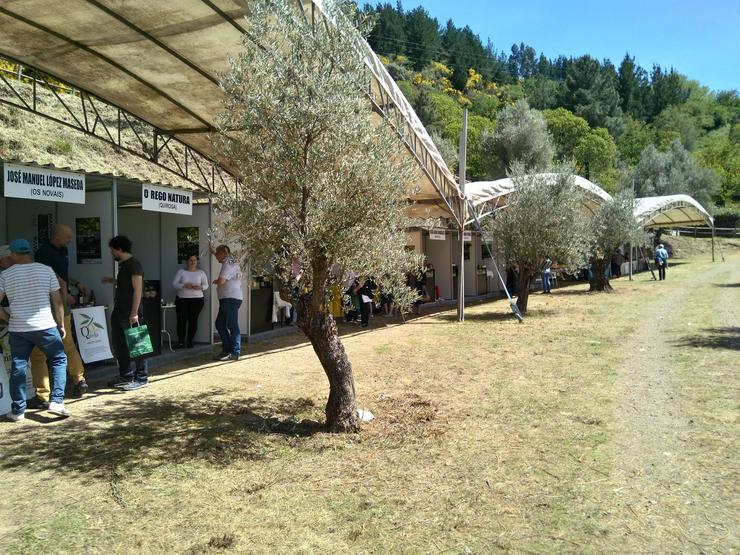 Recinto feiral. Foto: XMF