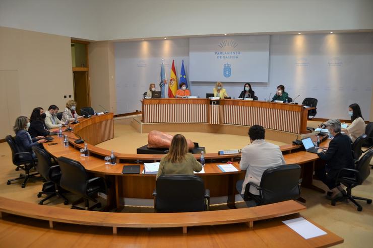 Comisión 5ª do Parlamento de Galicia durante a presentación do informe anual sobre violencia de xénero. PARLAMENTO DE GALICIA 