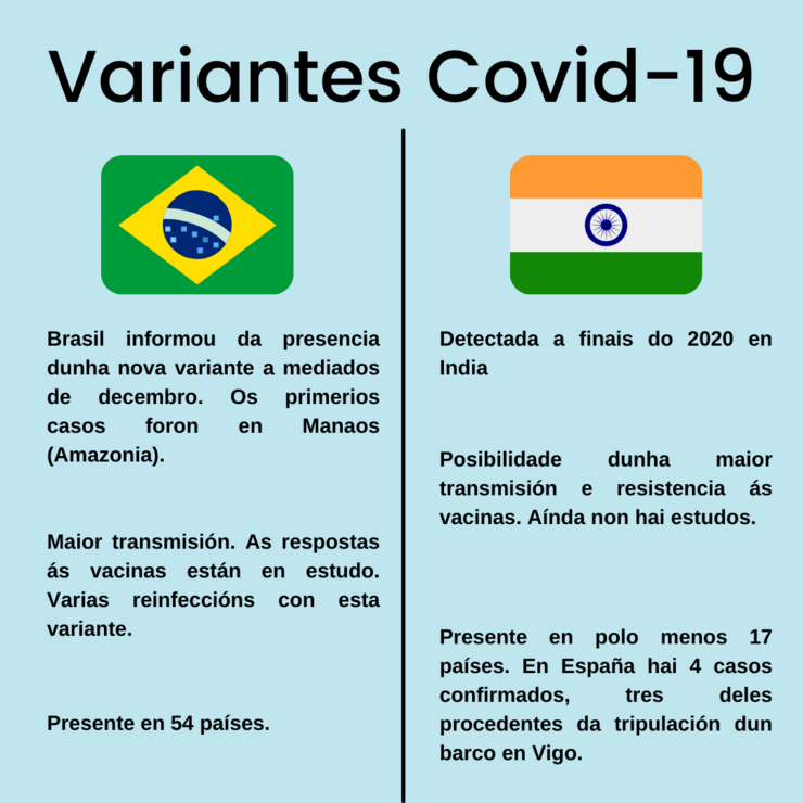 Variante brasileira e india