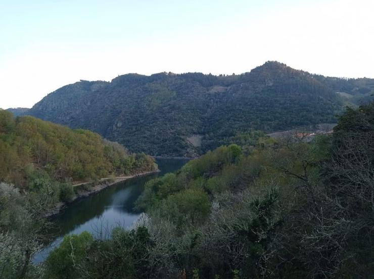 Canóns da Ribeira Sacra 