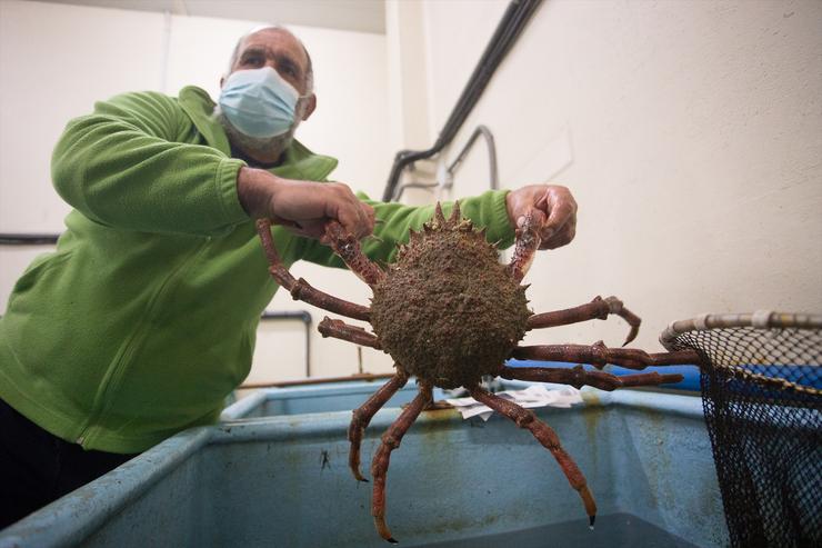 Arquivo - Marisco na lonxa de Burela (Lugo). Carlos Castro - Europa Press - Arquivo 