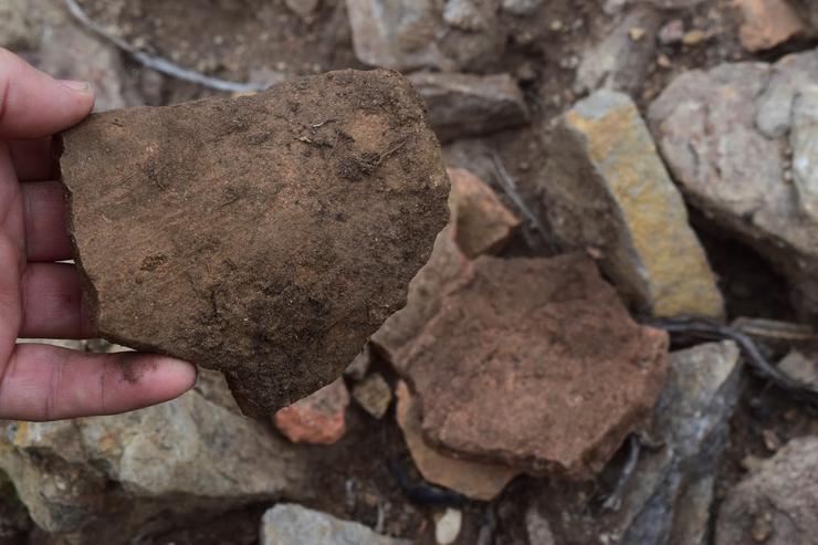 Cerámica atopada na Croa do Castro Montoxo danado nunha plantación de eucaliptos / Mariña Patrimonio