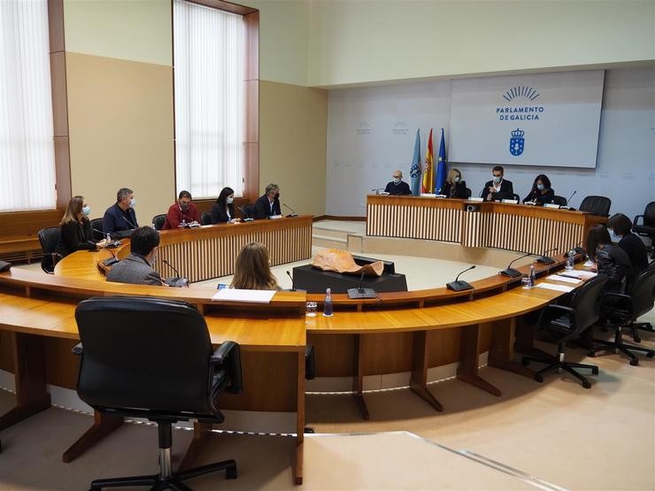 Foto de arquivo da comisión de reactivación do Parlamento galego. PARLAMENTO / Europa Press