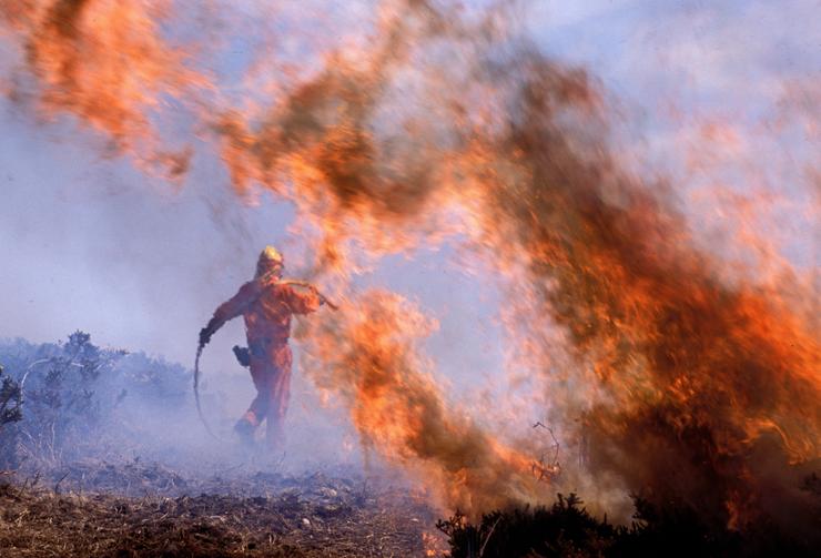 Un bombeiro durante os labores de extinción dun incendio forestal 