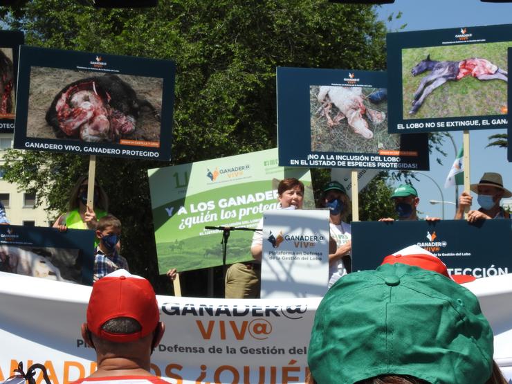 Concentración en Madrid en rexeitamento á protección do lobo 