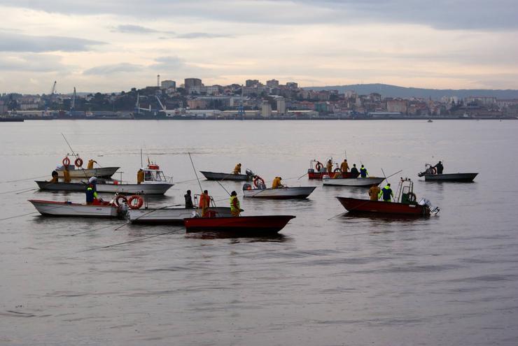 Mariscadores na ría de Ferrol